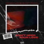 Artwork voor "Don't Need Your Love"