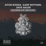 Artwork for "Sultans of Groove"