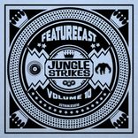 Artwork für "Jungle Strikes, Vol. 10"