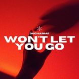 Artwork für "Won't Let You Go"
