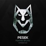 Artwork for "Pesek"