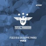 Portada para "Voice"