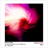 The Universe Perceives Itself Through Us