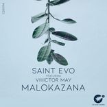 Artwork for "Malokazana"