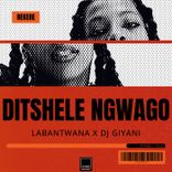 Artwork for "Ditshele Ngwago"