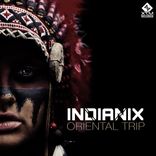 Artwork for "Oriental Trip"