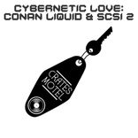 Artwork for "Cybernetic Love"