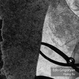 Artwork for "Flying Flu"