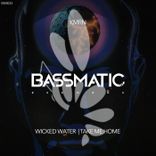 Portada para "Wicked Water / Take Me Home"