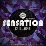 Artwork for "Sensation (Instrumental)"