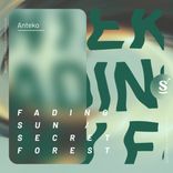 Artwork for "Fading Sun / Secret Forest"