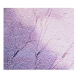 Look At Orchid Swarming With Wasps