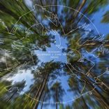 Portada para "Wilderness / Come Around"