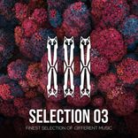 Artwork for "SELECTION 03"