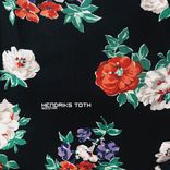 Portada para "Socotra"