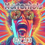 Artwork for "Fake Acid"