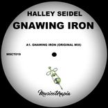 Portada para "Gnawing Iron"