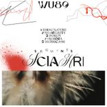 Artwork for "Segments EP"