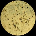 Artwork voor "Root Regenerator 005 EP"