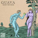 Artwork for "Guava"