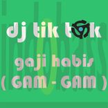 Artwork for "Gaji Habis ( Gam Gam )"