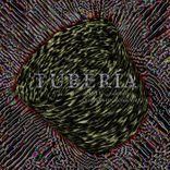 Artwork for "Tuberia"
