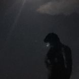 Portada para "No Love"