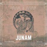 Artwork for "Junam"