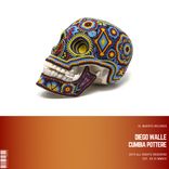 Artwork for "Cumbia Pottere"