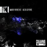 Artwork for "Acid Groove"