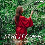 Artwork for "I Feel It Coming"