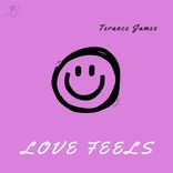 Artwork for "Love Feels"