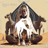 Artwork for "Wale Wito"