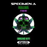 Artwork for "Mallwa"