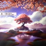 Artwork voor "We Return"