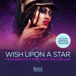 Portada para "Wishing Upon A Star"