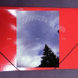 Artwork voor "Pressured Mind"