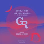 Artwork for "Moonlit Vibe"