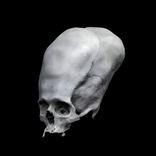 Artwork voor "Bloodline of the Serpent-Kings"