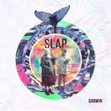 Artwork für "Slap"
