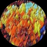 Artwork für "M.K.N EP"