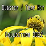 Portada para "Dubstep / Trap Hit Collection 2022"