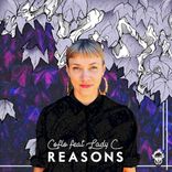 Artwork for "Reasons"