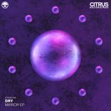 Artwork for "Mirror EP"