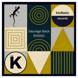 Artwork for "Rising"