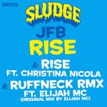Artwork for "Rise"