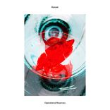 Artwork für "Operational Reserves"