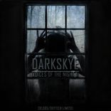 Artwork for "Voices of the Night II"