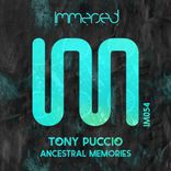 Artwork for "Ancestral Memories"
