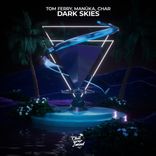 Artwork voor "Dark Skies"